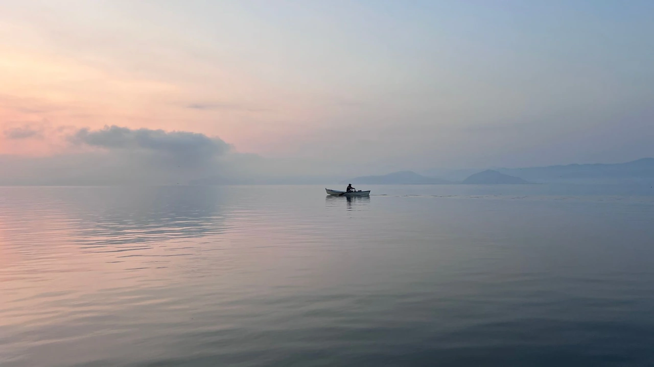 杨志峰头像