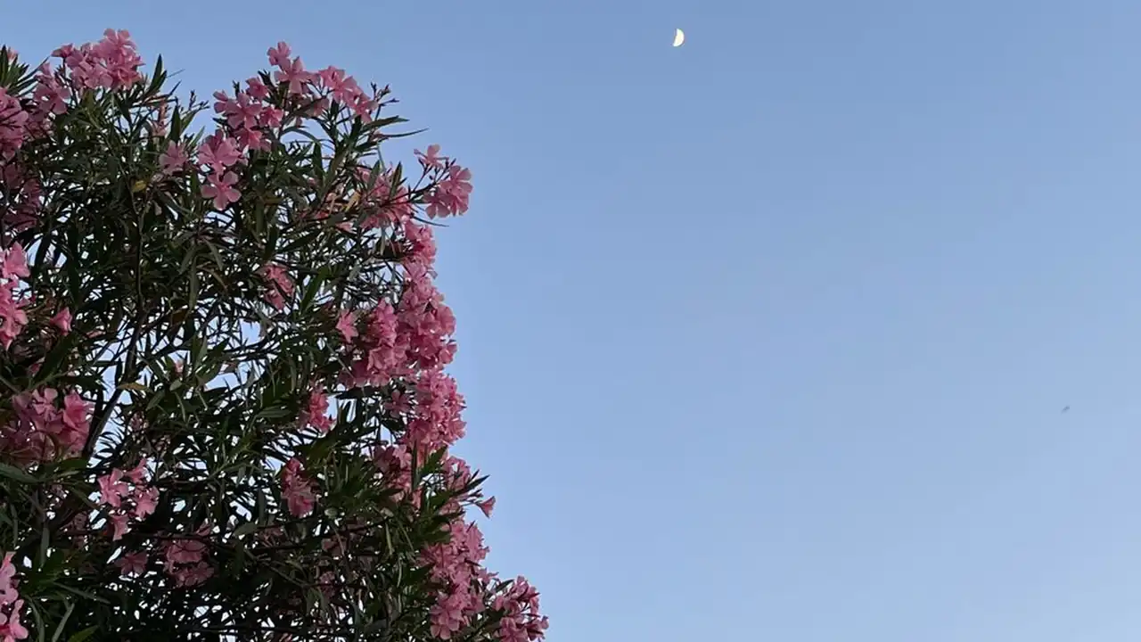 妹妹好色网的主要功能与日常使用注意事项